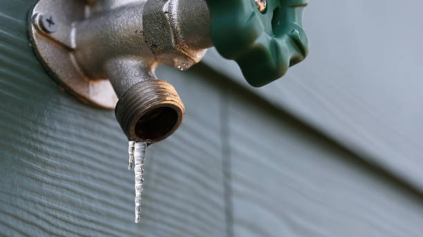 Best Residential Plumbing Services  in Whiteland, IN